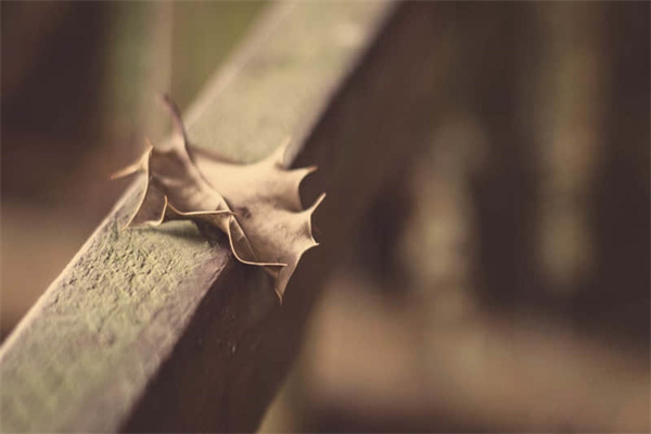 东莞必去的景点旅游胜地（东莞必去的景点旅游胜地在哪里）