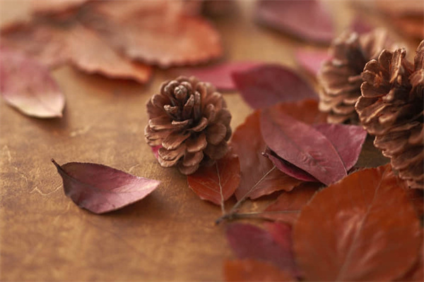 重渡沟旅游攻略必去的地方（重渡沟旅游攻略一天）