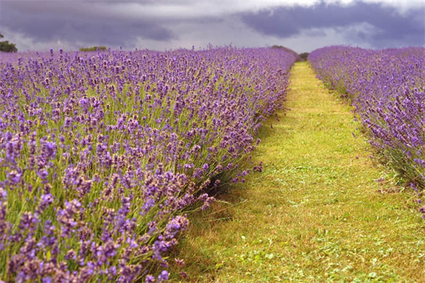 海南旅游度假区哪里最好（海南度假去哪里好）