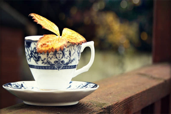 哈密旅游攻略冬季景点（哈密旅游攻略冬季景点大全）