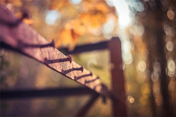 恩施旅游攻略必去地方（恩施旅游攻略必去地方一日游）