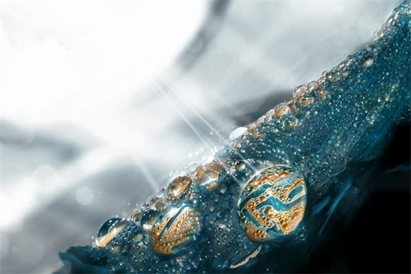 云南游玩景点杭州旅游攻略