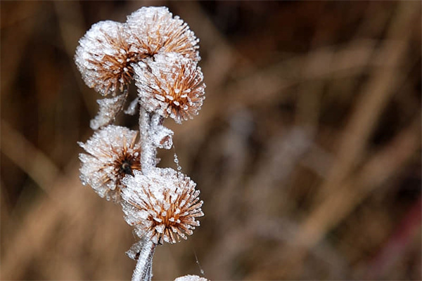 阳旅游攻略必去景点（冬天去沈阳旅游攻略必去景点）