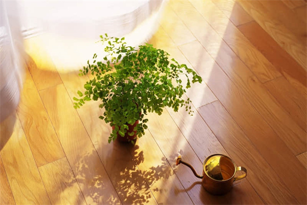 遵义旅游攻略周边旅游景点（遵义旅游攻略周边旅游景点大全）