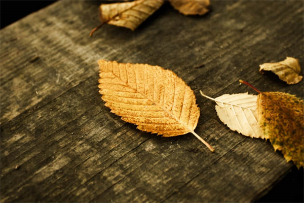 一岁宝宝广西旅游必去景点