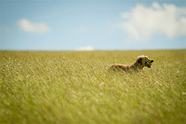 狮子沟旅游度假村