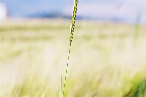 辽宁五一旅游必去（辽宁五一旅游最佳去处）