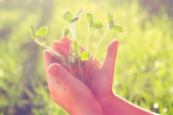 昆明滇池旅游度假区交通（昆明滇池交通路线）