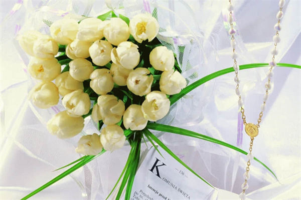 青岛藏马山一日游攻略（青岛藏马山一日游攻略图）